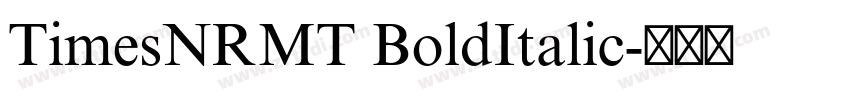 TimesNRMT BoldItalic字体转换